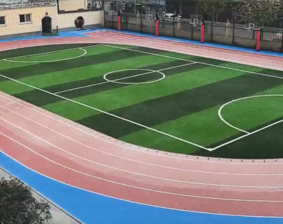 ��������ѧУȫ�����ܵ�